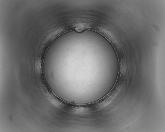 X0000111140453200906301233