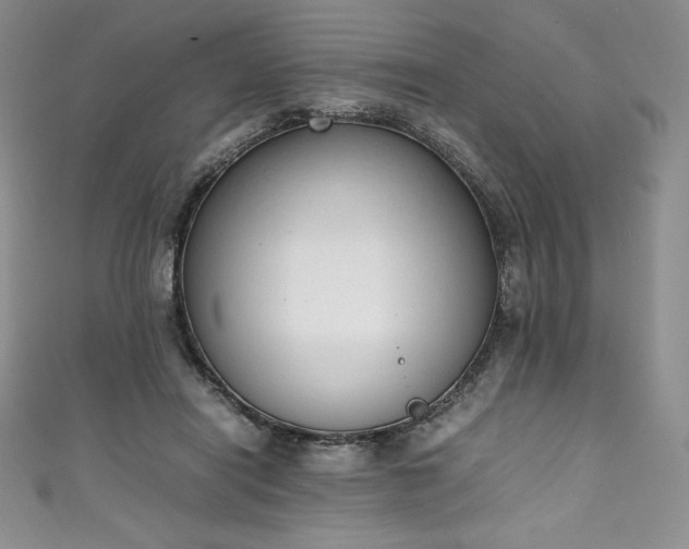 X0000111140454200906301233