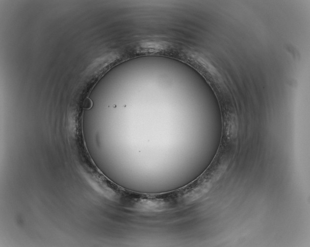 X0000111140455200906301233