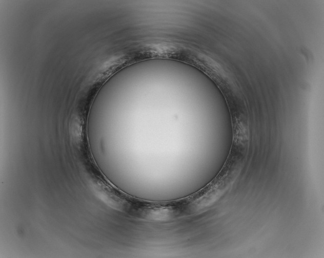 X0000111140456200906301233