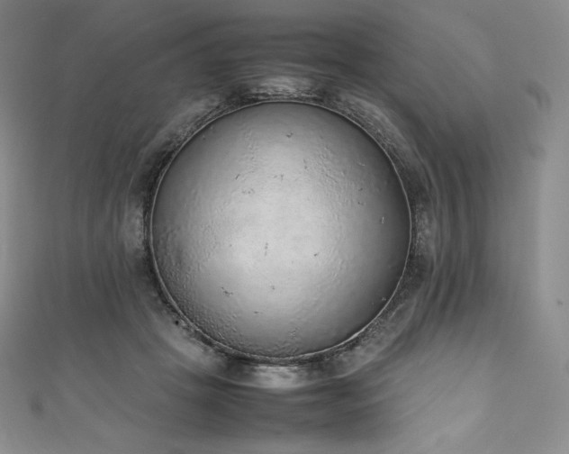 X0000111140457200906301233