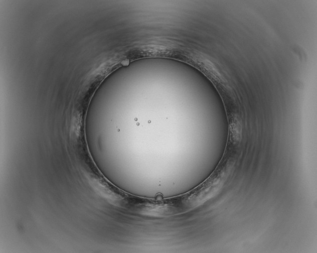 X0000111140458200906301233