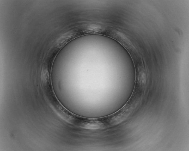 X0000111140459200906301233