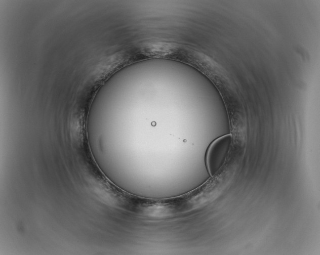 X0000111140460200906301233