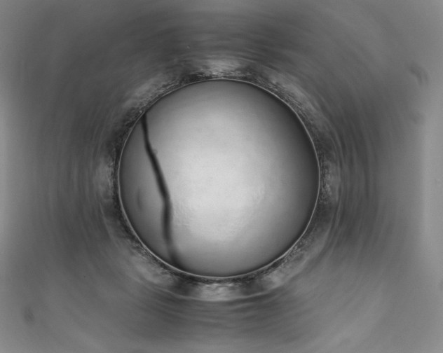 X0000111140461200906301233