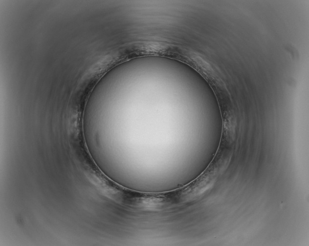 X0000111140462200906301234