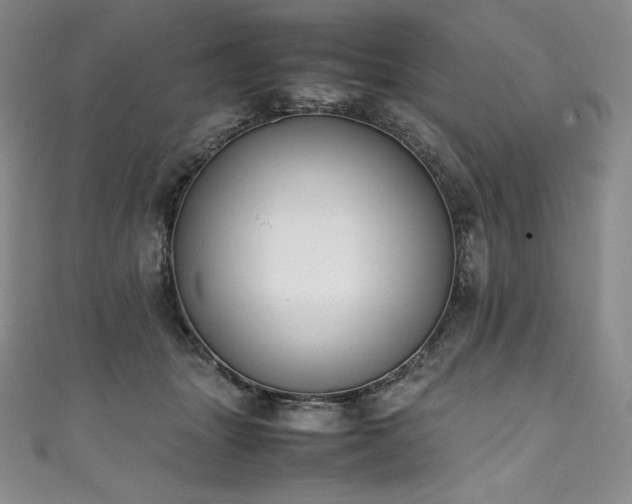 X0000111140463200906301234