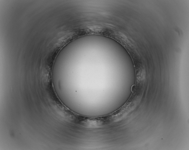 X0000111140464200906301234