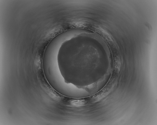 X0000111140465200906301234