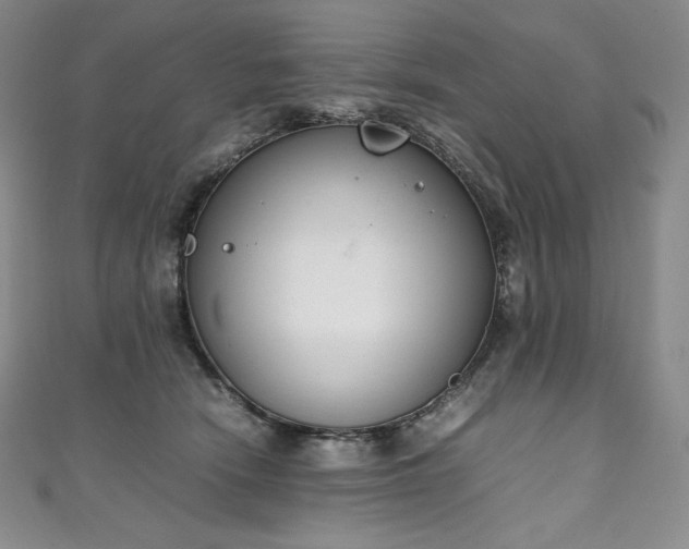 X0000111140466200906301234