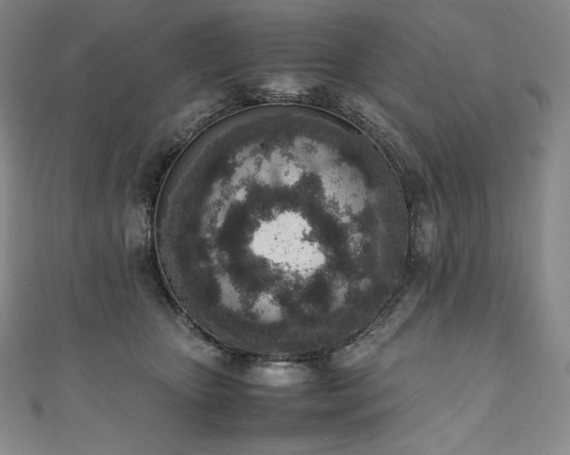 X0000111140467200906301234