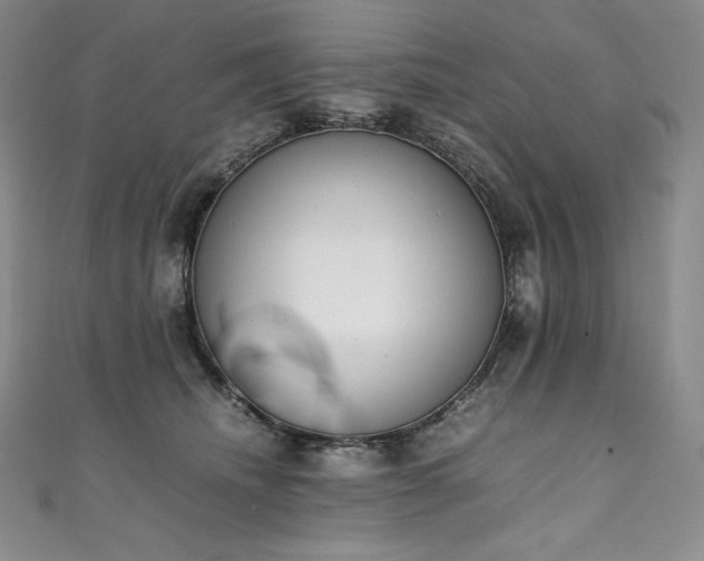 X0000111140468200906301234