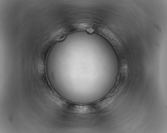 X0000111140469200906301234