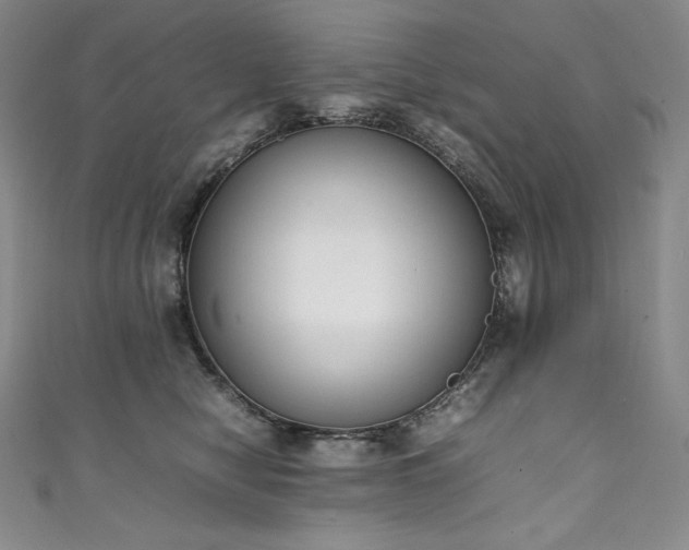 X0000111140470200906301234