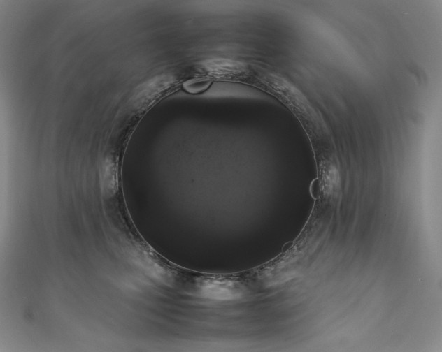 X0000111140471200906301234