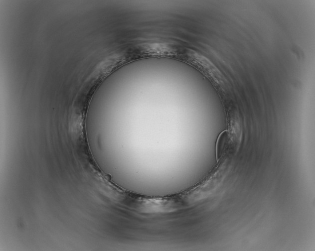 X0000111140473200906301234