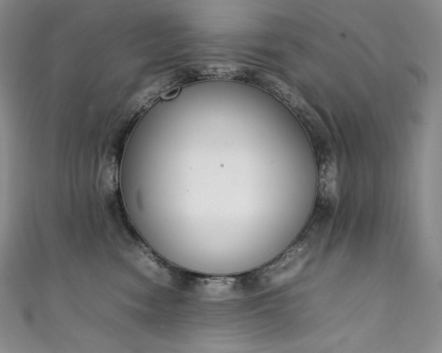 X0000111140474200906301234