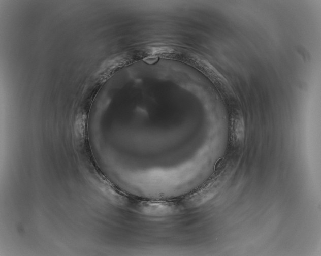 X0000111140475200906301234