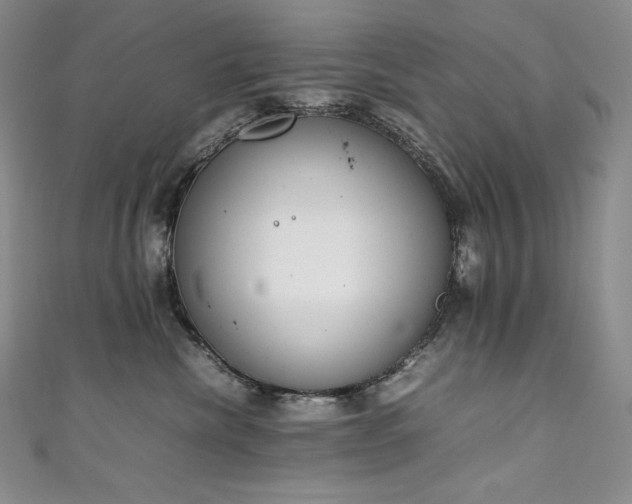 X0000111140476200906301234