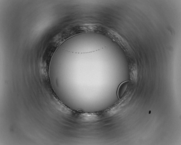 X0000111140477200906301234