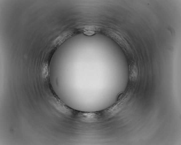 X0000111140478200906301234