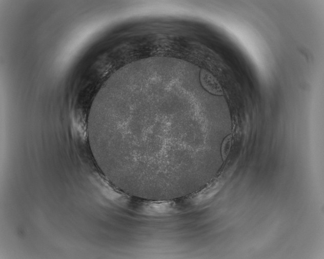 X0000111140479200906301234