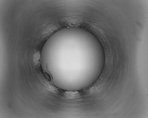 X0000111140480200906301234