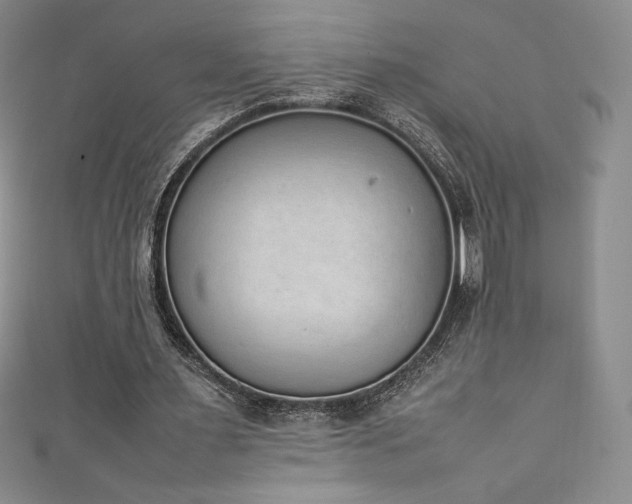 X0000111140483200906301233