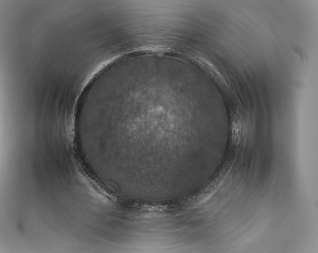 X0000111140484200906301233