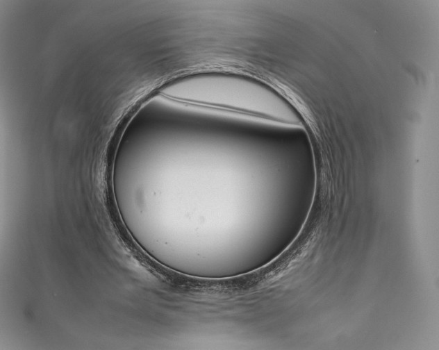 X0000111140485200906301233