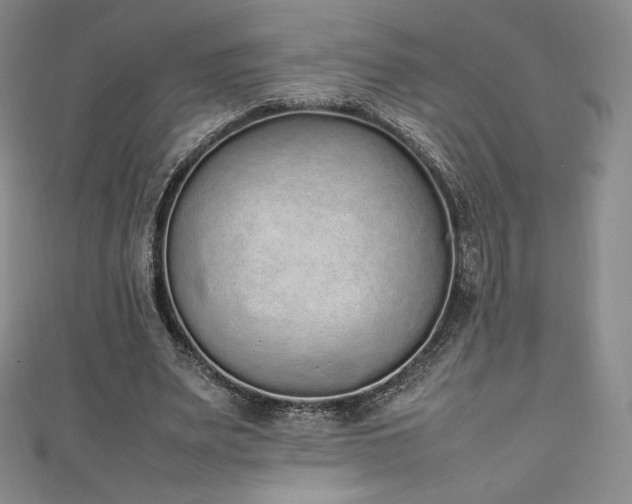 X0000111140487200906301233