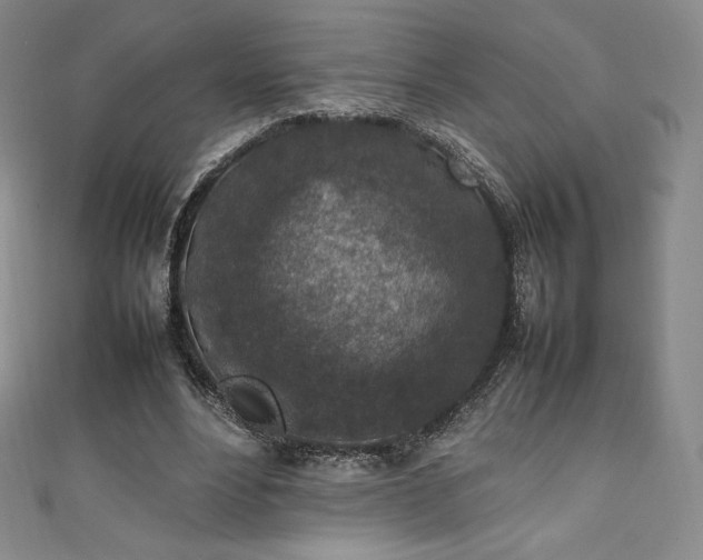 X0000111140488200906301233