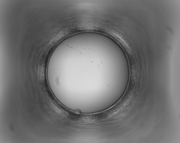 X0000111140489200906301233