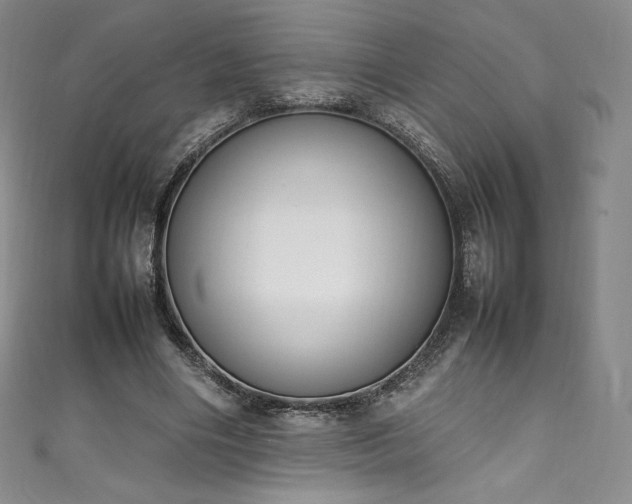 X0000111140490200906301233