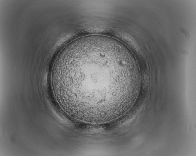 X0000111140491200906301233