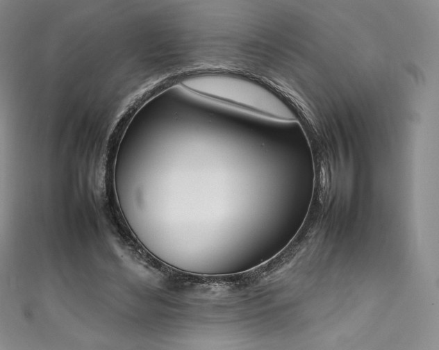 X0000111140492200906301233