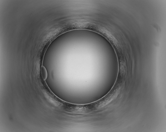 X0000111140493200906301233