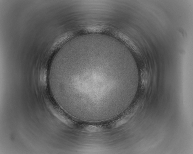 X0000111140494200906301233