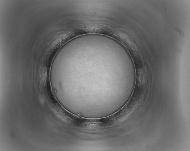 X0000111140495200906301233