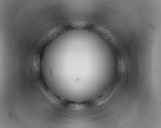 X0000111140498200906301233