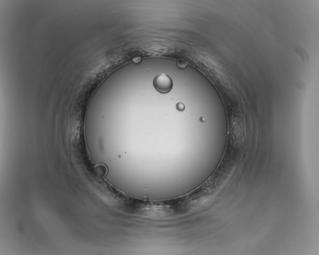 X0000111140499200906301233