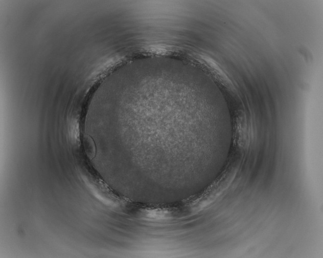 X0000111140500200906301233