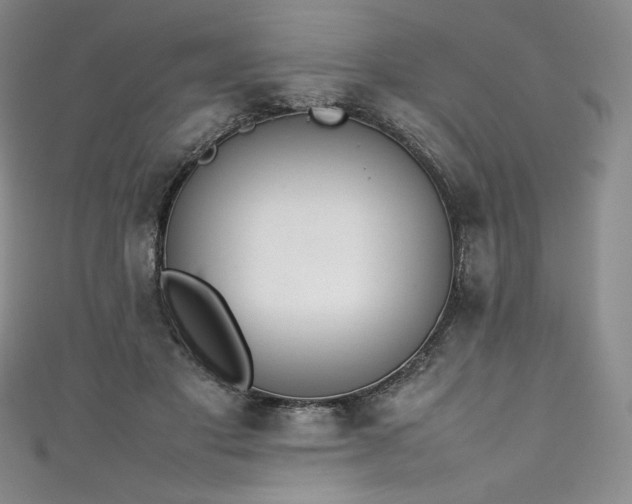 X0000111140501200906301233