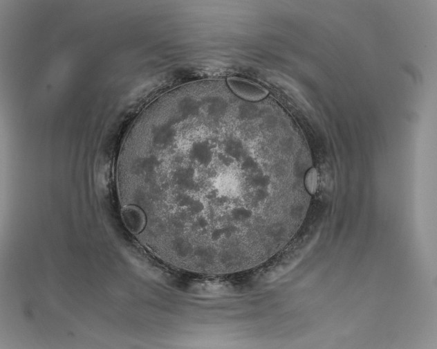 X0000111140503200906301233