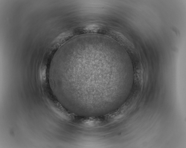 X0000111140504200906301233