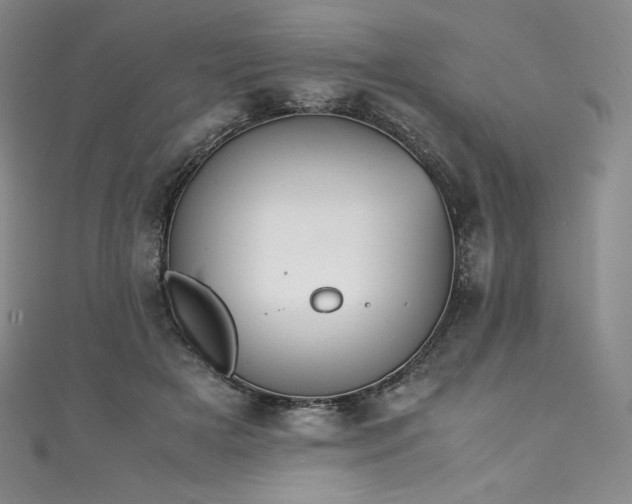 X0000111140505200906301233