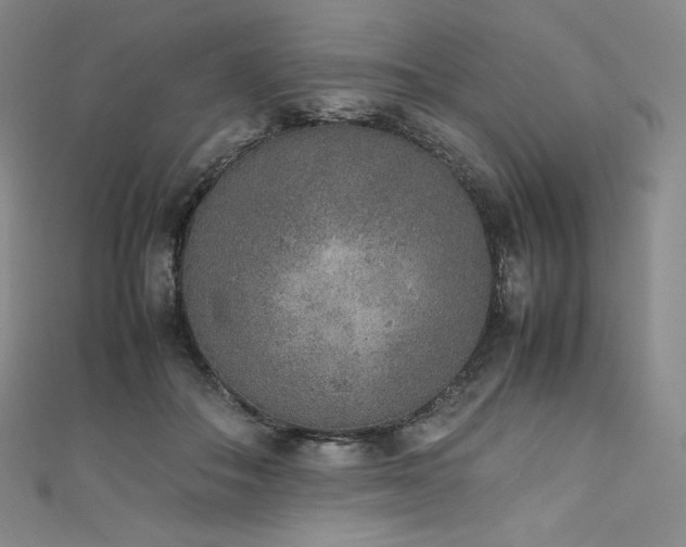 X0000111140506200906301233