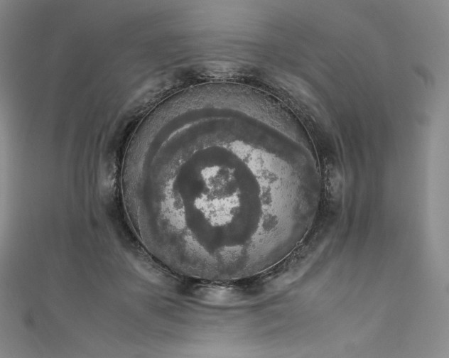 X0000111140507200906301233