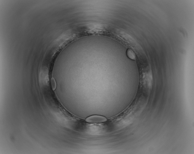 X0000111140508200906301233