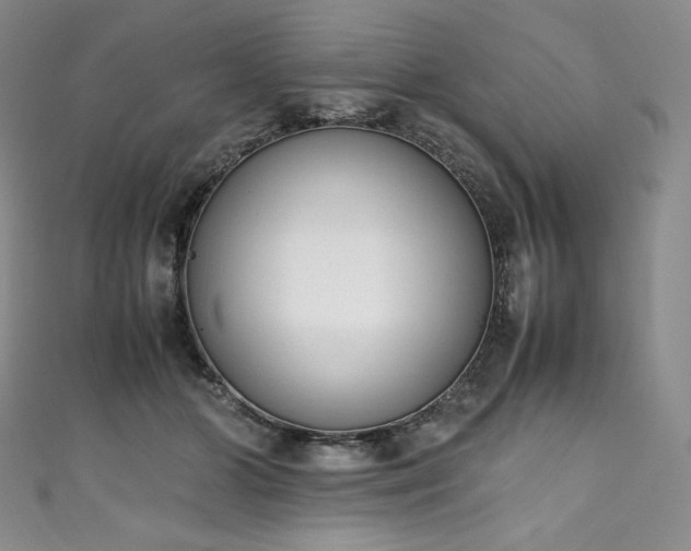 X0000111140510200906301233